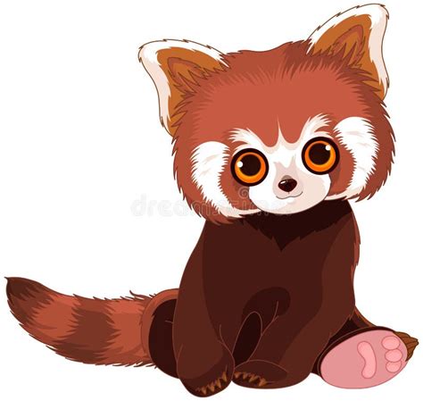 Red Panda Portrait Stock Vector Illustration Of Lesser 79080981