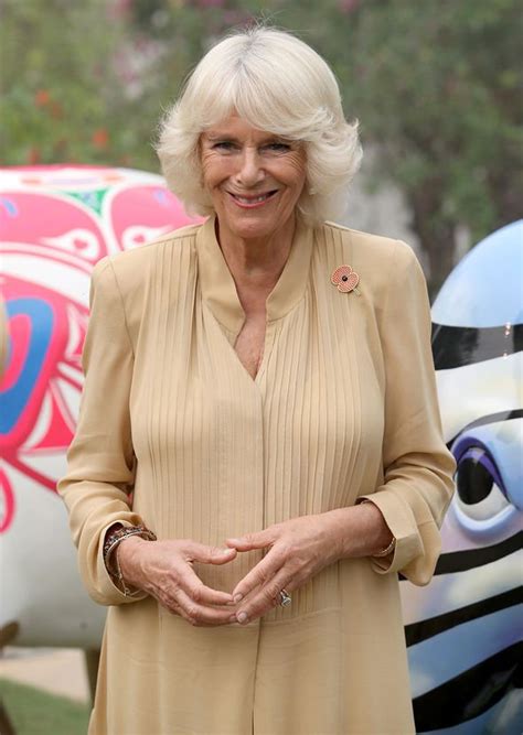 Camilla Duchess Of Cornwall Prince Charles Wife Never Travels