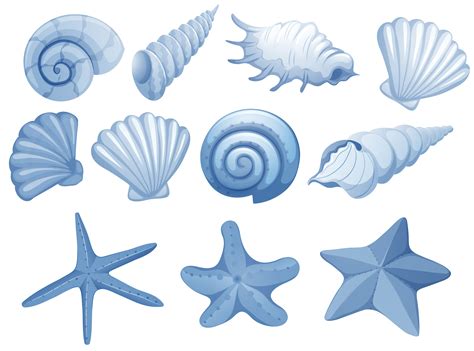 A Set Of Blue Seashell 302590 Vector Art At Vecteezy