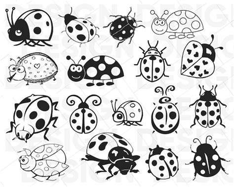 17 Ladybug Svg Lady Bug Svg Beetle Svg Ladybug Clipart Etsy