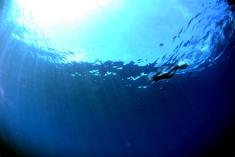 Free Images Sea Ocean Sunlight Wave Blue Reef Freediving Scuba