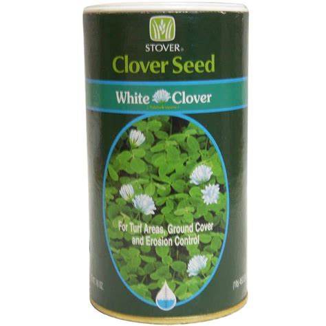 Stover Seed White Clover Seed 73010 6 The Home Depot