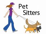 How To Become A Licensed Pet Sitter