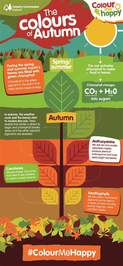 Changing Colours Of Autumn Science Sparks