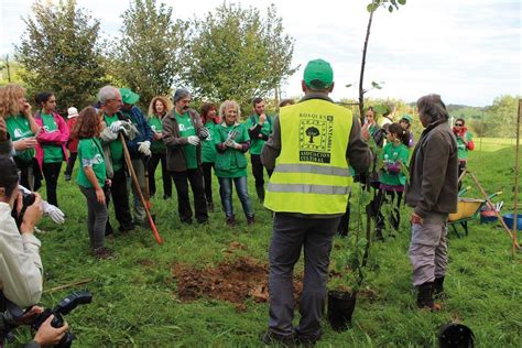 Voluntariado ambiental: qué es, para qué sirve y sus beneficios