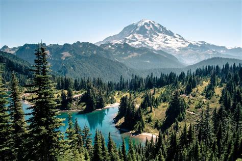 Majestic Adventure Visit Mount Rainier National Park