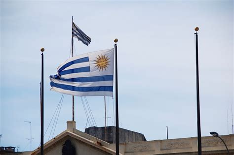 En unos instantes se conocerá su equipo primer partido para uruguay, que ya podrá contar con cavani, suspendido en las eliminatorias. photo: Montevideo, Uruguay