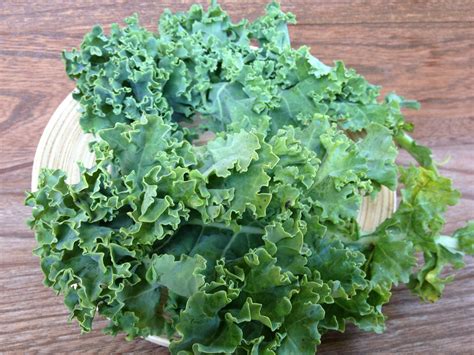 What Are The Benefits Of Kale Greens Seed Supplements