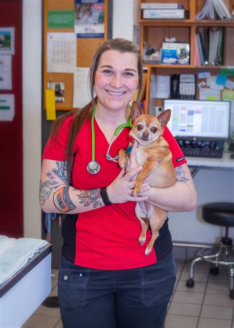 WHAT IS A VETERINARY... - Sierra Veterinary Hospital