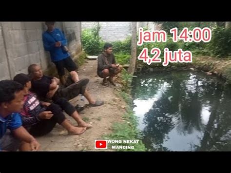 Sudah Jam Sore Bikin Bingung Masih Aja Mancing Kolam Kecil Harga