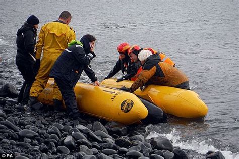 Nine Beached Pilot Whales Die On Rocks On The Isle Of Skye