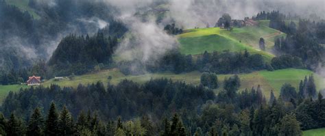Download Wallpaper 2560x1080 Forest Trees Fog House Aerial View
