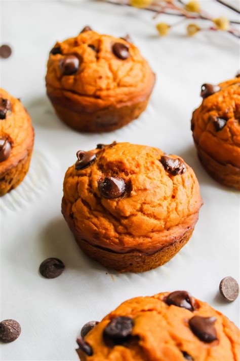 Healthier Pumpkin Chocolate Chip Muffins With Branch In The Background