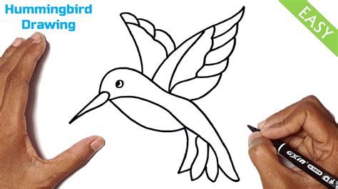 Share Hummingbird Drawing Easy Xkldase Edu Vn