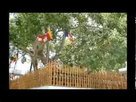 Sirima sirini kanchha batasai chalyo babari phoolko basana suna mero nirmaya mayalu aayoni kanchha faala ra handai nabole pani hasana suna mero nirmaya. SIRIMAHA BO MEDA MUNIDUN WEDA HINDA Victor Rathnayaka ...