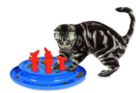 Alibaba.com offers 3,076 cat food puzzle products. 7 cat food puzzles that will feed your cat's hunter spirit