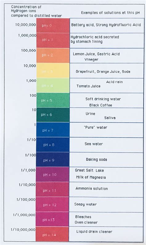 Ph Scale Colours My XXX Hot Girl