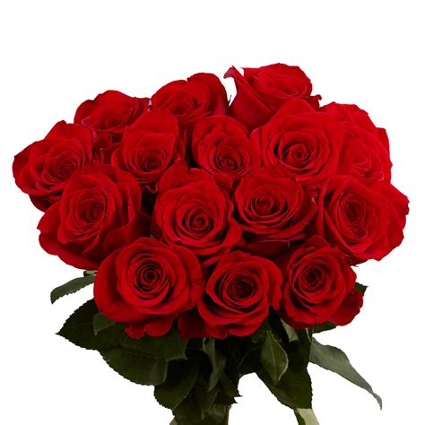 Red Roses Globalrose