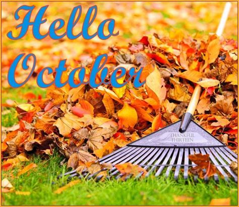 Hello October Quote With Autumn Leaves Pictures Photos And Images For