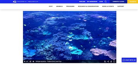 Noaa Coral Reef Conservation Program Aquariums And Zoos Caring For
