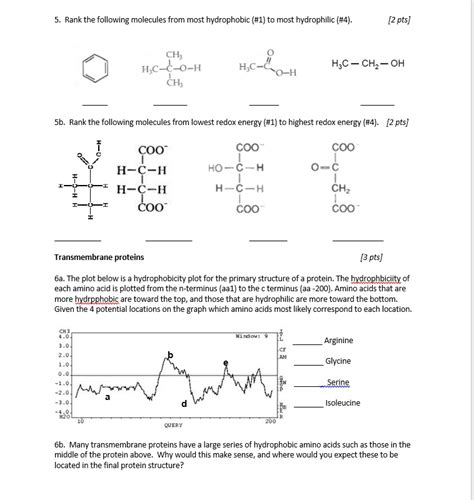 Https://tommynaija.com/worksheet/protein Structure Worksheet Answers
