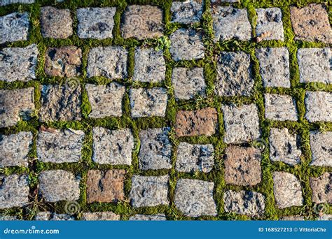 Fragment Of Pedestrian Cobblestone Pavement With Green Moss In Old