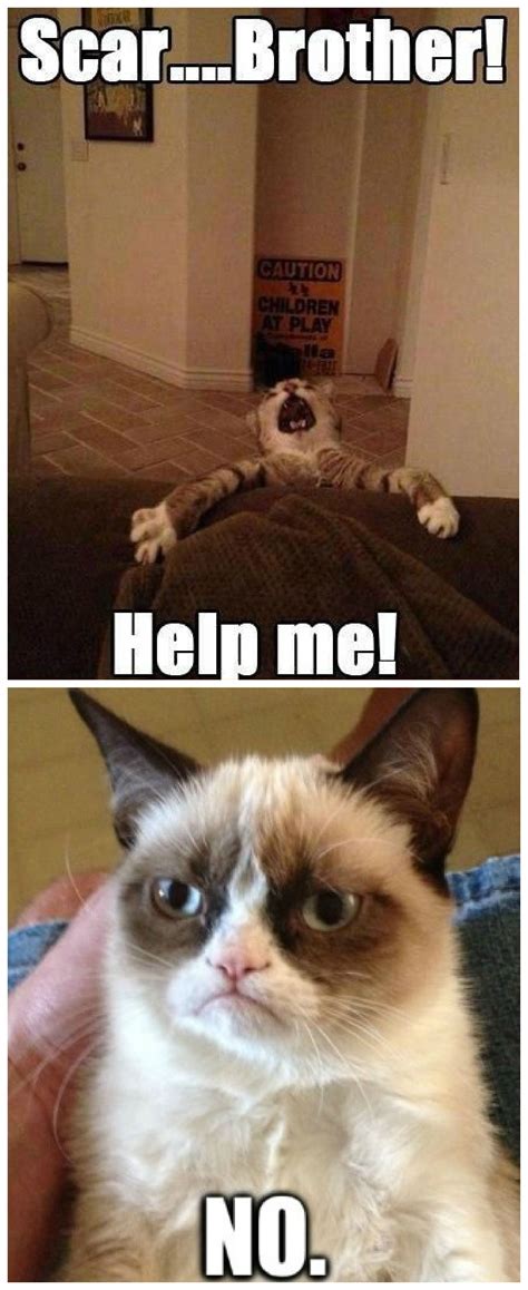 Lion King Vs Grumpy Cat Grumpy Cat Quotes Funny Grumpy Cat Memes Cat