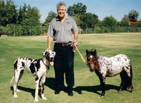 We prefer that new users post original content and not common pictures from the internet. 4th Annual Arizona Miniature Horse March Festival ...