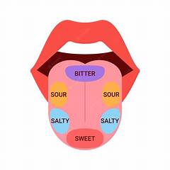 Rollermcnutts Kitchen Symphony Where Cooking Becomes A Concert For Your Taste Buds