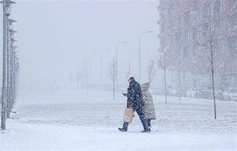 Метель гололедица синоптик рассказала о погоде в Москве 1 декабря