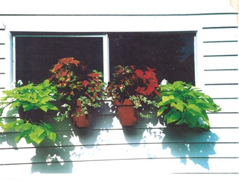 Hang Flower Pots Under A Window To Make It Look Like A Window Box Use