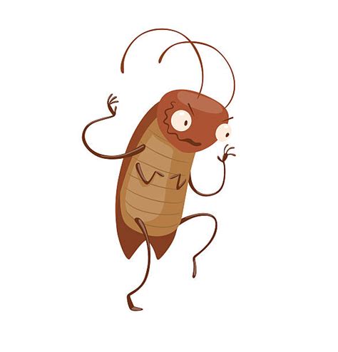 Ugliest Insect Pictures Illustrations Royalty Free Vector Graphics