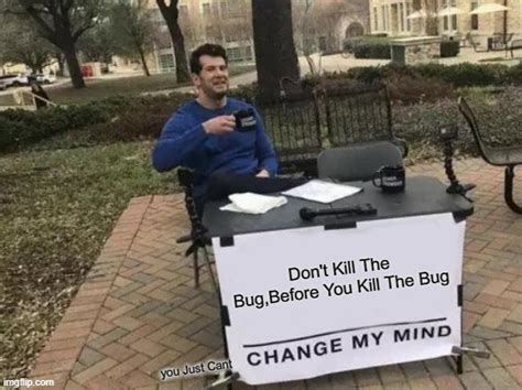 The Bug Imgflip