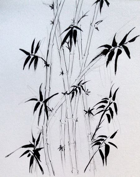 Cara Menggambar Pohon Bambu Dengan Pensil Warna Yang Mudah