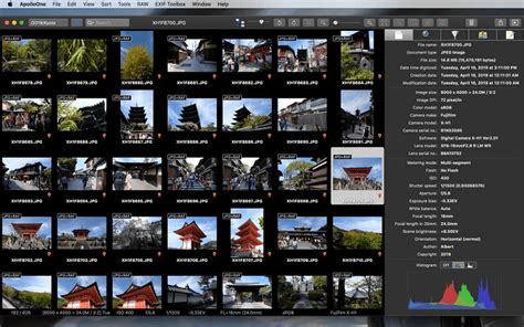 14 Best Image Viewer For Mac 2023 Techpout