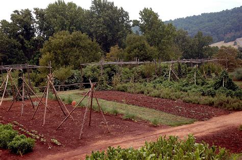 The Vegetable Garden At Monticello Ii Photograph By Leeann