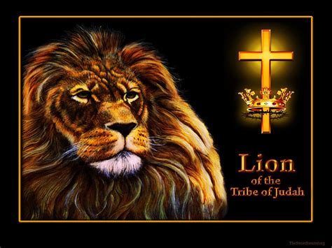 Lion Motivation Bible Wallpapers Top Free Lion Motivation Bible
