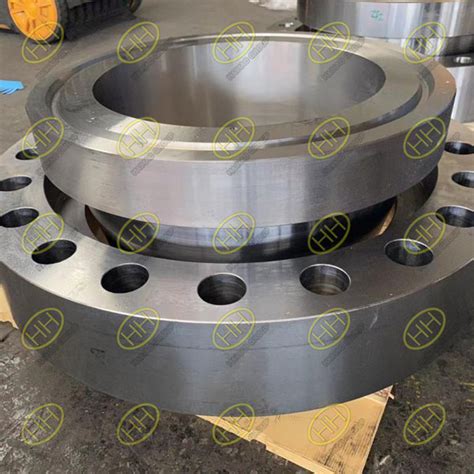 Exported A182 F316l Asme B165 Swivel Ring Flanges To Oman China
