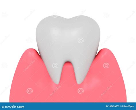 Healthy Teeth And Gums Stock Illustration Illustration Of Toothache