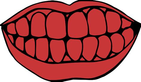 Mouth And Teeth Clip Art At Vector Clip Art Online Royalty