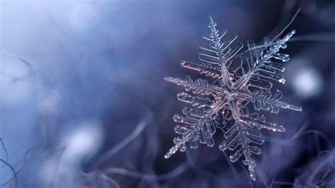 Frozen snowflake wallpaper - backiee