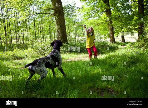Boy Playing Fetch With Dog Hi Res Stock Photography And Images Alamy