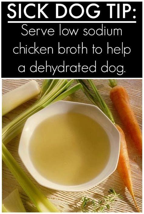 Is Your Dog Sick Try This Homemade Chicken Broth For Dogs Great For