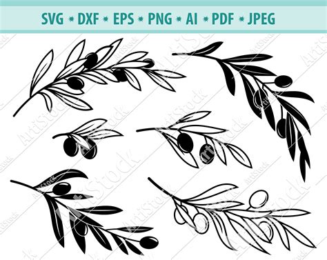 Download Olive Tree Commercial Use Svg Cricut Olive Svg Digital Download Svg Cut File Svg Olive