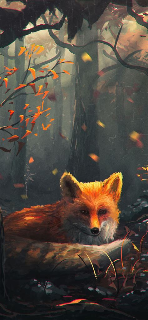 Autumn Fox Wallpapers Wallpaper Cave