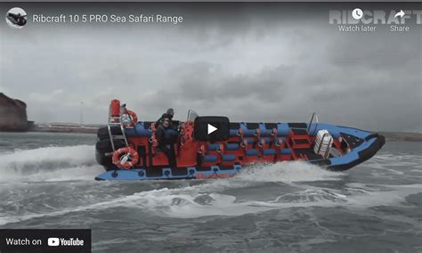 Ribcraft Pro Rib Sea Safari Range