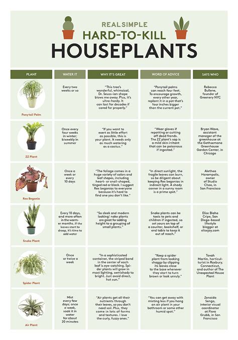 Indoor Plant Watering Chart