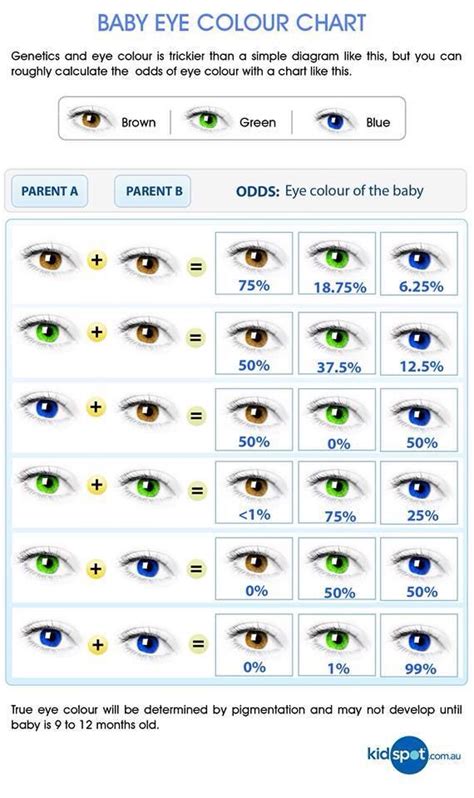 Eye Colour Probability Chart Various Baby Eye Color Chart Eye