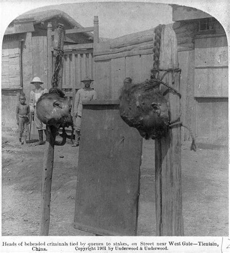 Heads Of Beheaded Criminals Tied By Queues To Stakes On Street Near West Gate Tientsin China