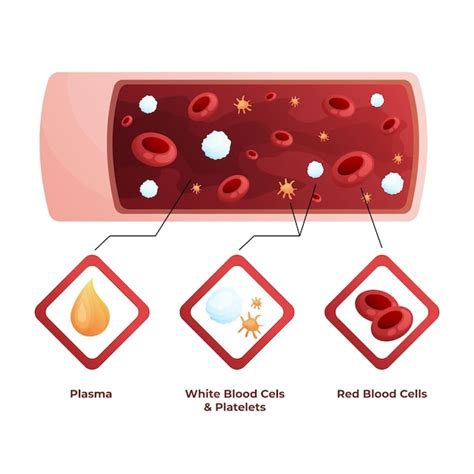 Recognizing Blood Clots Signs And Symptoms Explained Popado